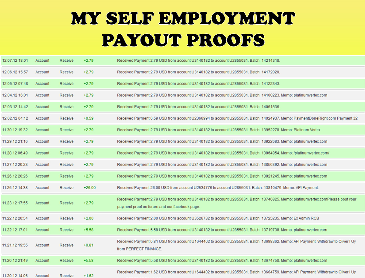 Self Employment PP 17