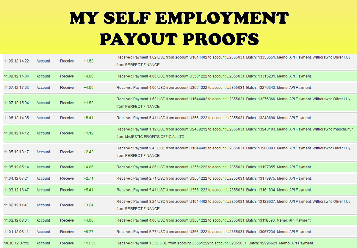 Self Employment PP 19